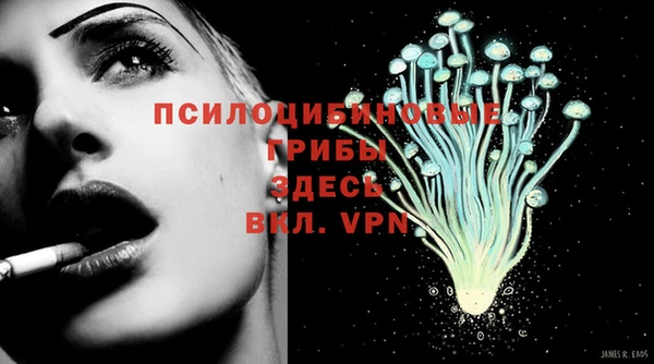трава Абинск
