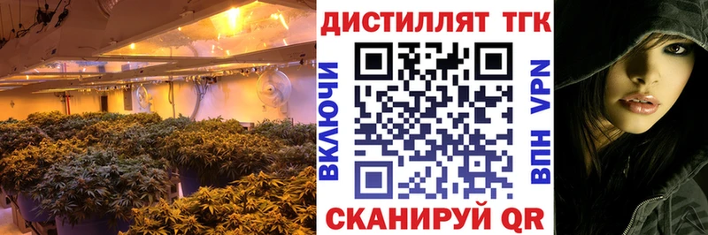 hydra как войти  Елизаветинская  Дистиллят ТГК THC oil  продажа наркотиков 