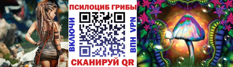 Псилоцибиновые грибы мухоморы  цена   Елизаветинская 